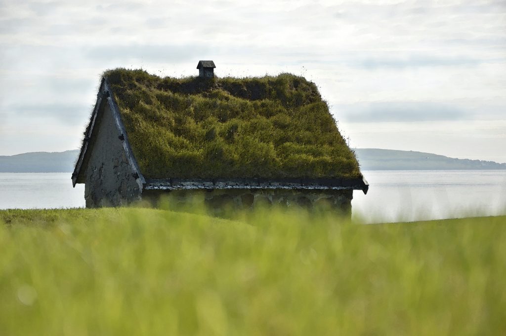 Casa com telhado verde.
